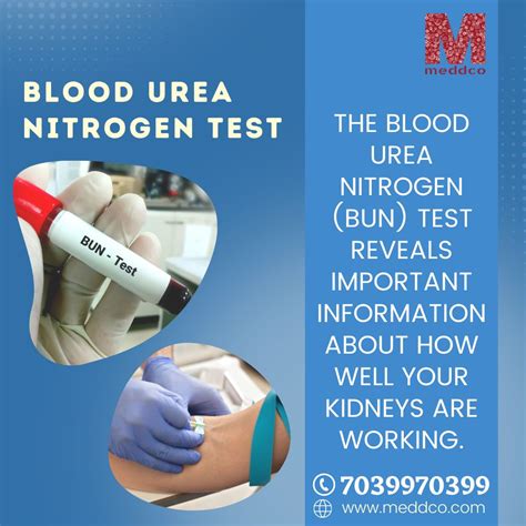 n lab test|Blood urea nitrogen (BUN) test .